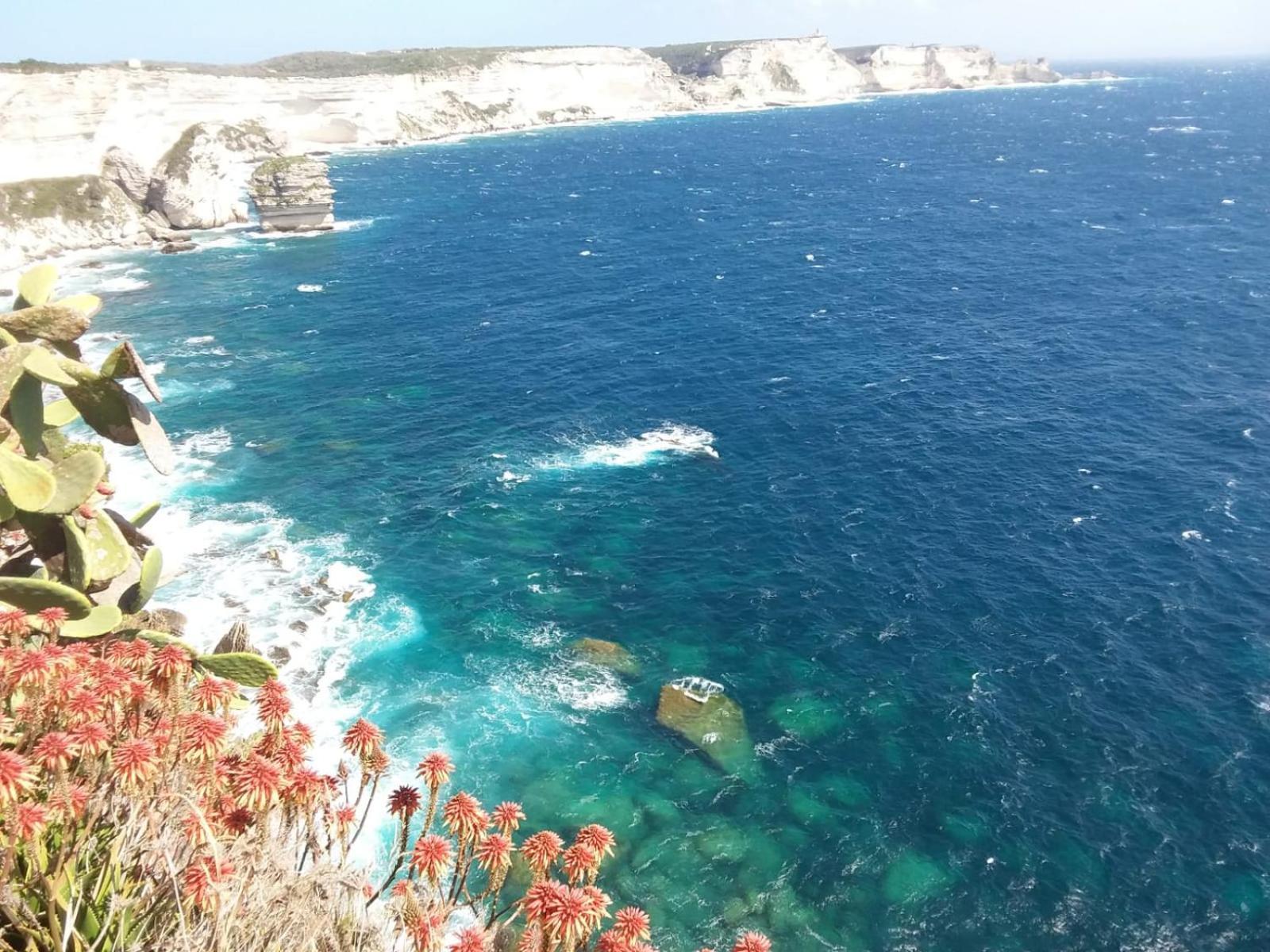 Villa Acqua Doria 科蒂基亚瓦里 外观 照片